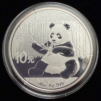 2017 Panda 30g .999 Silver Coin