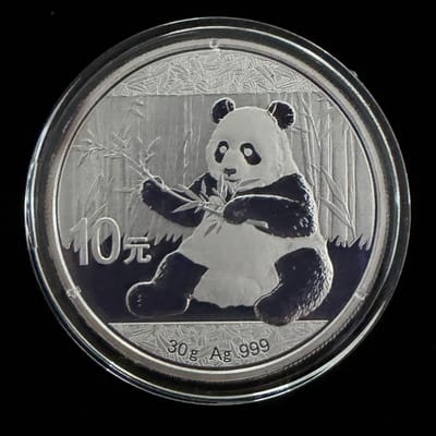 2017 Panda 30g .999 Silver Coin