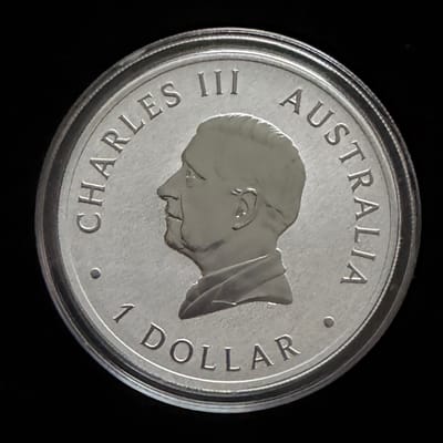 2026 Kookaburra 1 oz .9999 Silver Coin - additional view