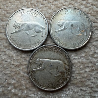 $.75 face value Canadian quarters  - additional view