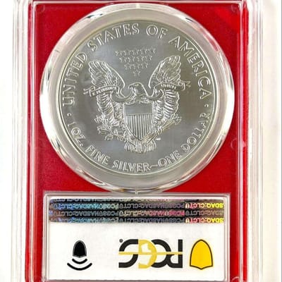 2021‑(S) American Silver Eagle – Type 1 Emergency  - additional view