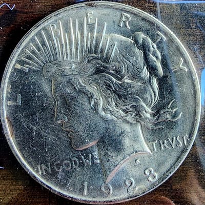 1923 P Silver Peace Dollar Toned