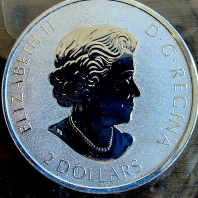 2019 Royal Canadian Mint 3/4 OZ Silver - additional view