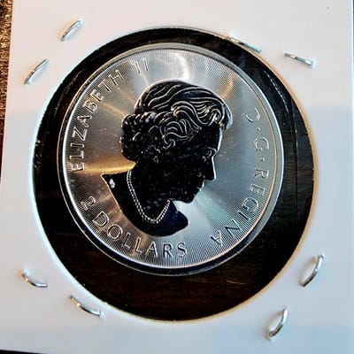 2016 Canada Bald Eagle 1/2 Maple Privy - additional view