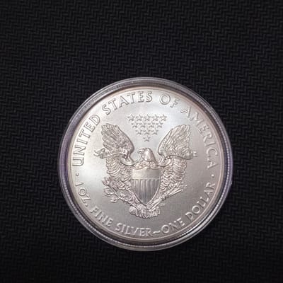 🇺🇸 2014 American Silver Eagle — 1 Troy Ounce .99 - additional view