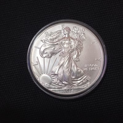 🇺🇸 2014 American Silver Eagle — 1 Troy Ounce .99