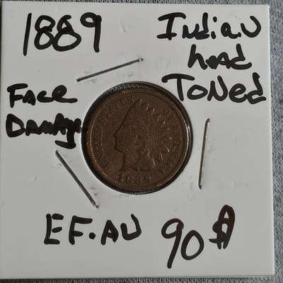 1889 Indian Head Cent Toned 