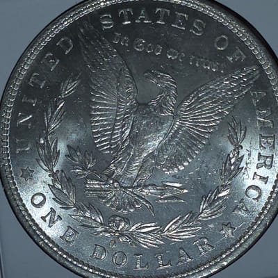 1881-0 Morgan Silver Dollar MS  - additional view