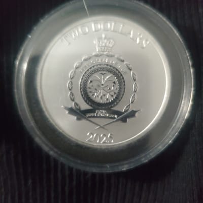 2025 Scrooge McDuck Coin Swim - additional view