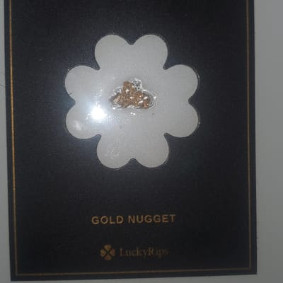 BC YUKON .78g GOLD NUGGET - additional view