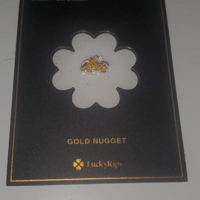 BC YUKON .78g GOLD NUGGET