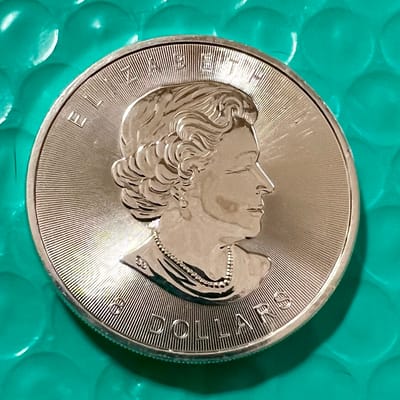 2015 Canada Polar Bear 1.5 ounce .9999 - additional view