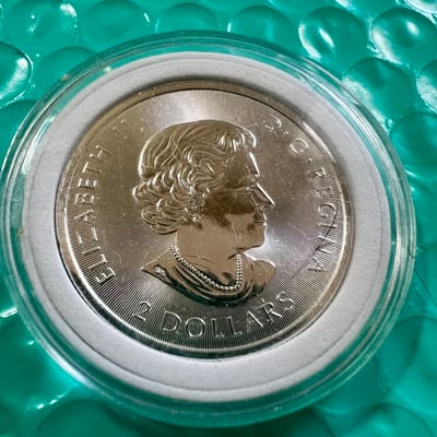 2018 Canada 1/2 oz .9999 Silver Polar Bear - additional view