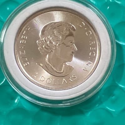 2021 Canada 1/2 ounce.9999 - additional view