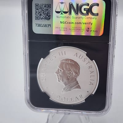 2024 1oz koala - additional view