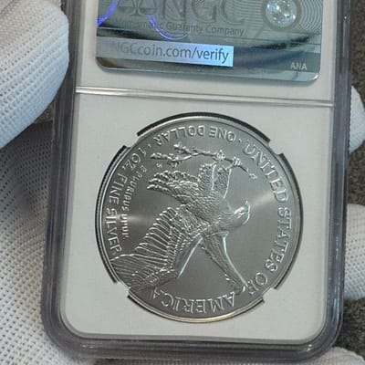 NGC MS69 2026 American Silver Eagle - additional view
