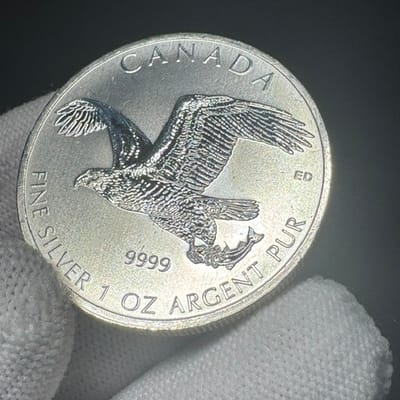NEAR SPOT - 2014 Canada Bald Eagle 1 oz .9999