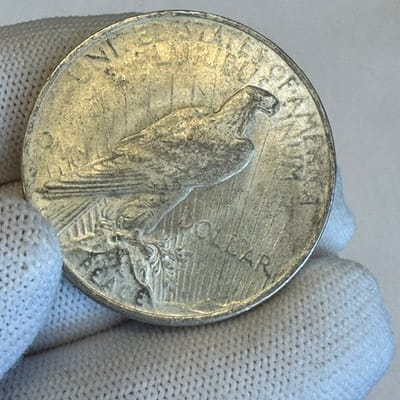 1924 Peace Silver Dollar – Better Example - additional view