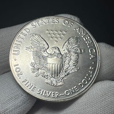 2020 American Silver Eagle BU - Early Rim Toning - additional view