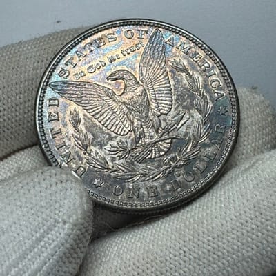 TONER ALERT!  1882-S Morgan Silver Dollar - additional view