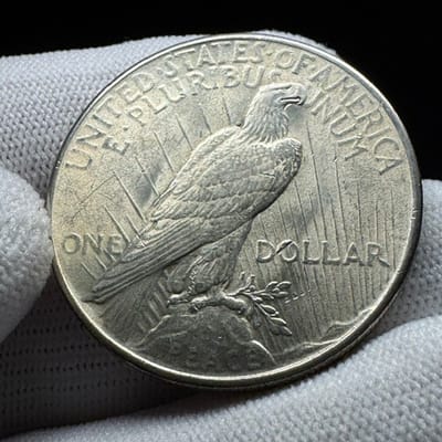 1925 Peace Dollar – Better Eye Appeal - additional view