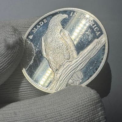 NEAR SPOT American Reserve Silver Round 1 oz - additional view