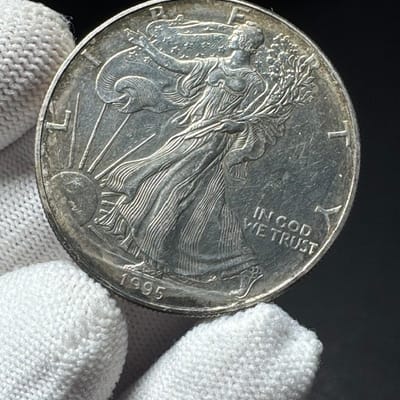 Backdate 1995 TONED American Silver Eagle