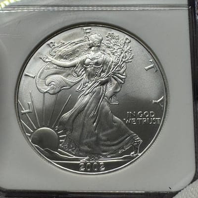 2002 American Silver Eagle – NGC MS69   - additional view