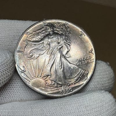 Dark Toned Backdate 1990 American Silver Eagle