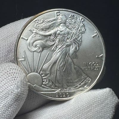 2020 American Silver Eagle BU - Early Rim Toning