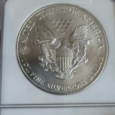 Backdate MS69 NGC 2002 Silver Eagle older slab - additional view