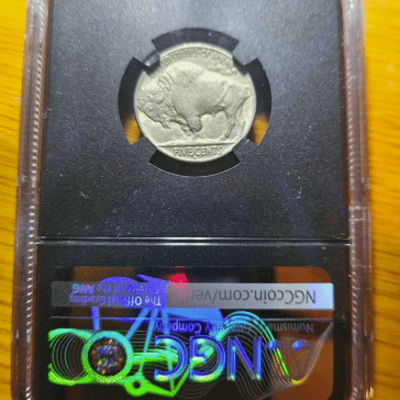 1913-D Type 2 Buffalo Nickel- NGC MS62 - additional view
