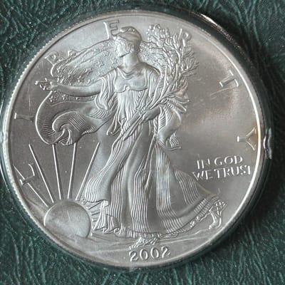 2002 American Silver Eagle - additional view