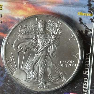 2001 American Silver Eagle - additional view