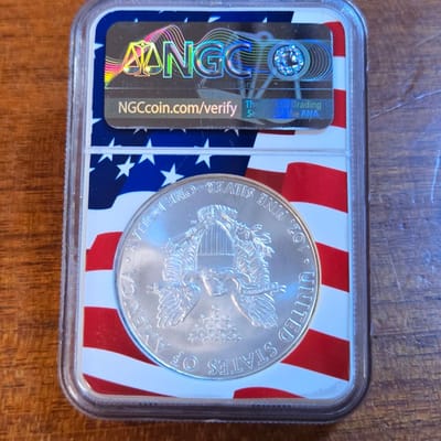 2009 American Silver Eagle $1 NGC MS69 - Memorial - additional view