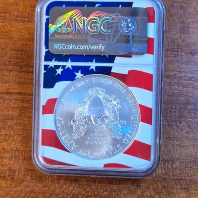 2013 American Silver Eagle $1 NGC MS69 - Memorial - additional view