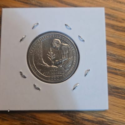 2020-W Quarter With Privy - additional view