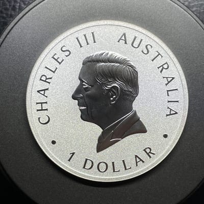 2024 Australia Wedge Tailed eagle 1 ozt silver bu  - additional view