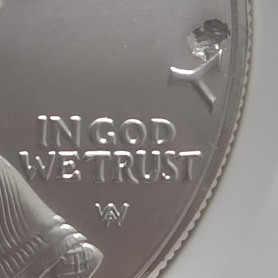 2022 Silver Eagle Error - additional view