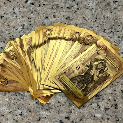 🔥10x 24k 2026 1/4 Idaho Goldbacks - Cheap pack!! - additional view