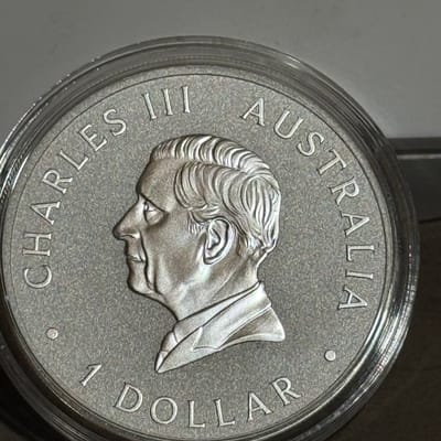 2026 koala 9999 silver  - additional view