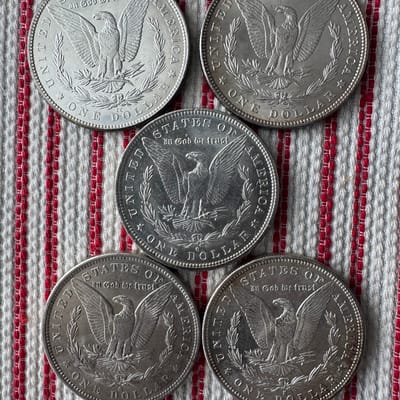 1882 Full Year Set Morgan Silver Dollars MintState - additional view