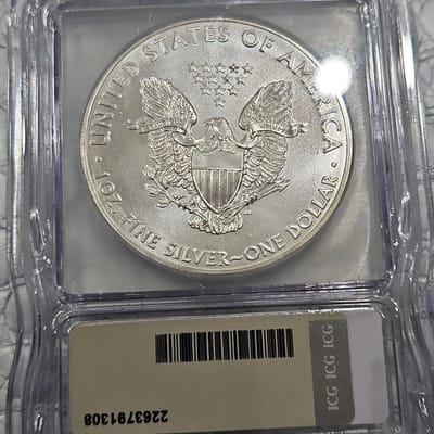 2013 American Silver Eagle MS69 ICG - additional view