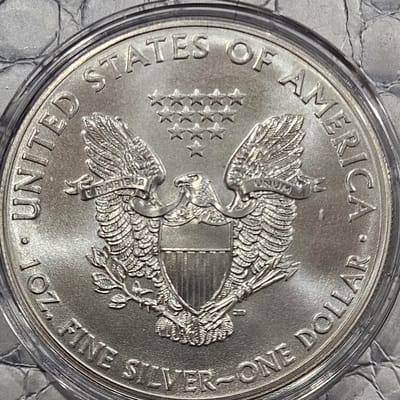 Share 2015 1 oz American Silver Eagle in capsule - additional view