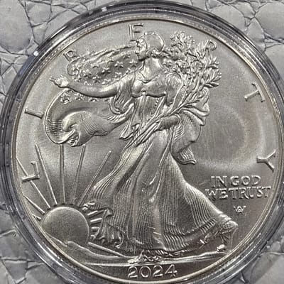 Share 2024 1 oz American Silver Eagle Coin capsule