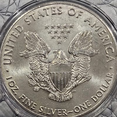 Share 2016 1 oz American Silver Eagle in capsule - additional view