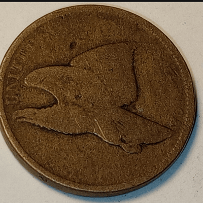 FLYING EAGLE PENNY  - additional view