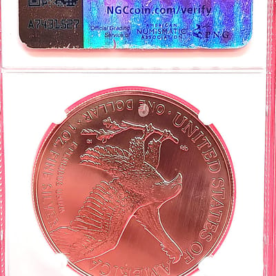 2024 (P) American Silver Eagle Star Privy NGC Gem  - additional view