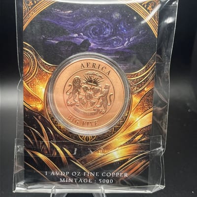2026 African Big 5 Starry Night Fusion 1 oz LION  - additional view