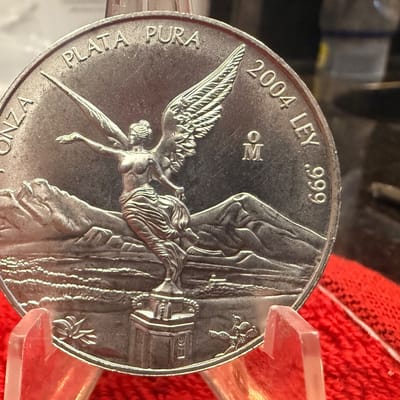2004 Libertad BU 